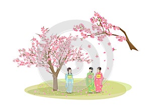 Womans wearing a kimono and sakura