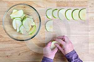 Womanâ€™s hands taking granny smith apple slices out of a glass bowl and laying them out on a mesh tray for dehydrating