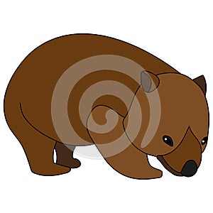 Wombat