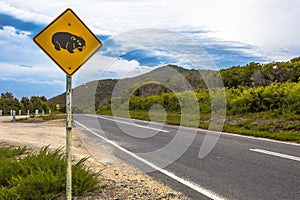 Wombat Crossing