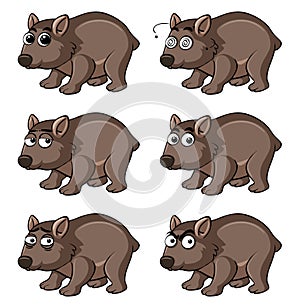 Wombat with different emotions