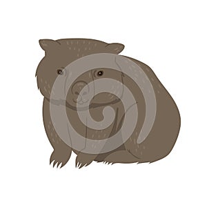 Wombat isolated on a white background. Vector graphics