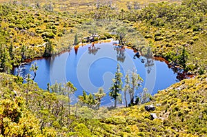 Wombat Pool - Cradle Mountain