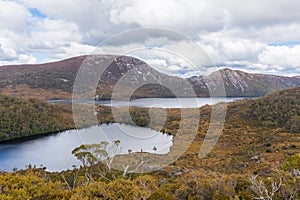 Wombat pool and Dove Lake in Cradle Mountain National Park, Tasmania