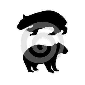 Wombat vector silhouettes