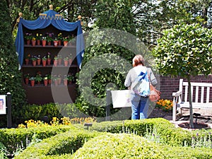 Women admires auricula theatre