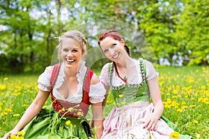 Women in Bavarian clothes or dirndl on a meadow