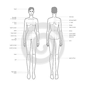 Women body parts terminology measurements Illustration for clothes and accessories production fashion lady size chart