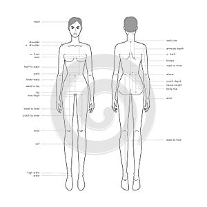 Women body parts terminology measurements Illustration for clothes and accessories production fashion lady size chart photo