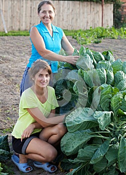 Women in brussels sprouts plant