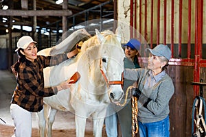 Women caring for a white horse in the stable - brushing withers photo