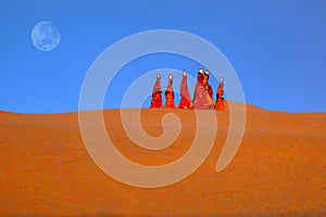 Women carrying water in the Thar desert - Rajasthan, India photo