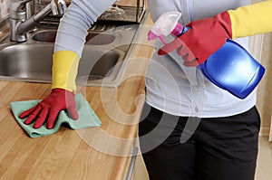 Women cleaning the house