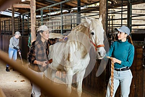 Women cleaning and taking care of white horse