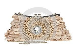 The women clutch bag