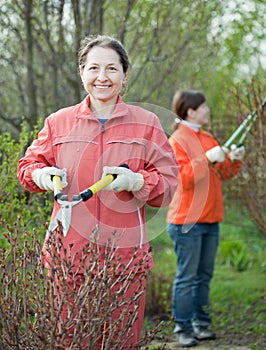 Women cutting shrubbery
