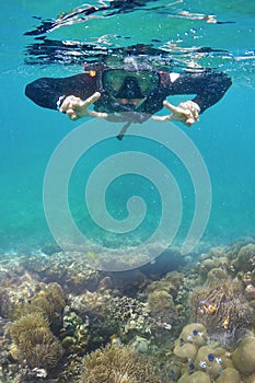 Women dives in a tropical sea photo