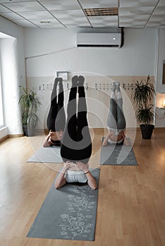 Women doing Pilates exercises in class