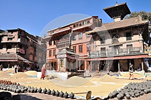 Women drying rice