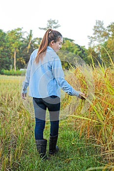 Women farmer in ripe wheat field