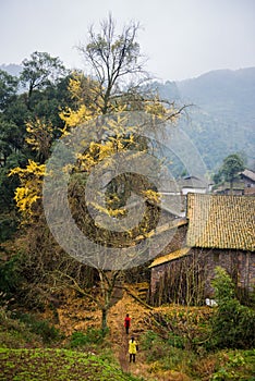 Women With Golden Leaves Background