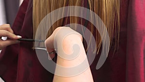 Women hairdresser hands cut women blonde hair with scissors. Beauty salon.