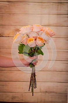 Women hand holding a bouquet of Campanella Garden roses variety, studio shot, peach flowers