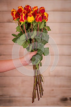 Women hand holding a bouquet of Silantoi roses variety, studio shot.