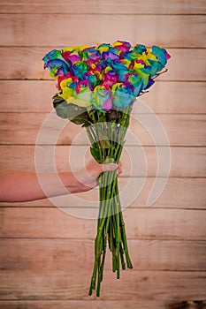 Women hand holding a bouquet of Tinted Rainbow roses variety, studio shot, multicolored flowers