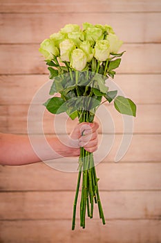Women hand holding a bouquet of Wasabi roses variety, studio shot, green flowers