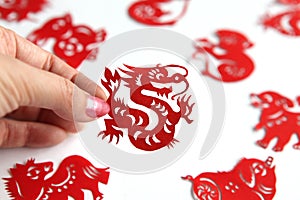 women hand holds Red Chinese zodiac paper cutting Year of the dragon