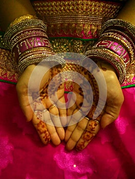 Women hand mehandi  background for you