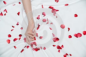 Women hand pulling or grasping white sheets. Hand sign orgasm of woman on white bed sheet with rose petals