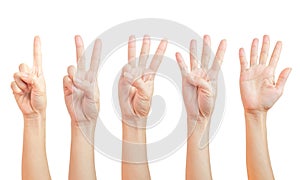 Women hand signs are counting. Using fingers symbol. set of number one two three four five  1 2 3 4 5  isolated on white