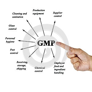 Women hand writing components of GMP(Good Manufacturing Practice