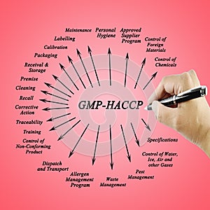 Women hand writing element GMP-HACCP for use in manufacturing
