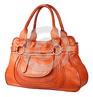 Women handbag photo