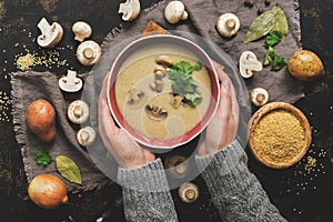 Women hands in a gray sweater holding a bowl of cream of mushroom soup. Hot winter soup on a dark rustic background. Top view,