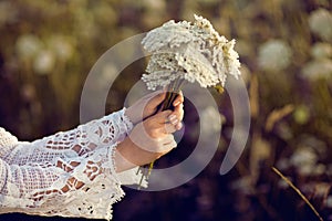 Women hands holding flowers in a rural field outdoors, lust for life