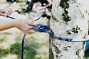 Women hands pull a strong blue rope tied to a birch tree. Zip line installation