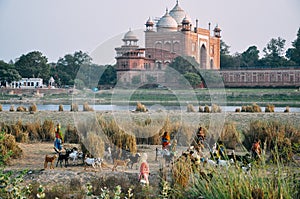 Women and goats walk by the Yamuna River behind the Taj Mahal, India.