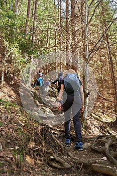 Women hikers with backpacks in the mountains