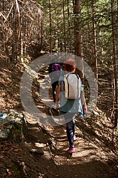 Women hikers with backpacks in the mountains