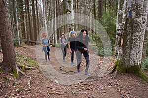 Women hikers with backpacks in the mountains