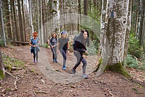 Women hikers with backpacks in the mountains