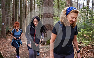 Women hikers with backpacks in the mountains