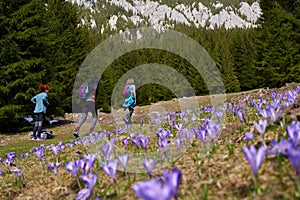 Women hikers with backpacks in the mountains