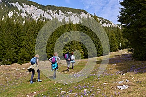 Women hikers with backpacks in the mountains