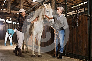 Women horse breeders grooming white horse in stable