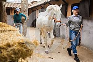 Women horse breeders working in ranch